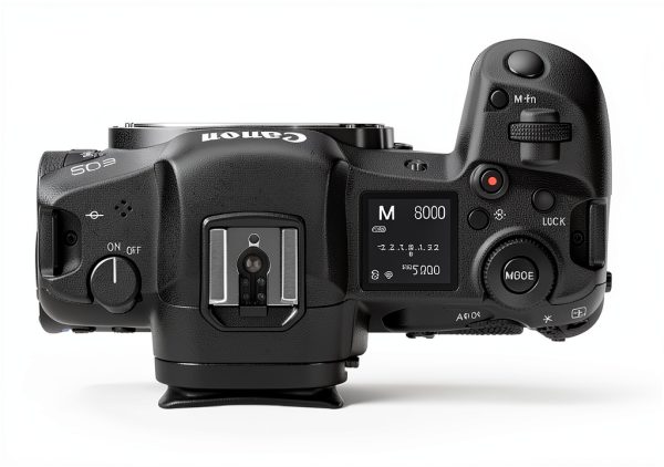 canon cameras